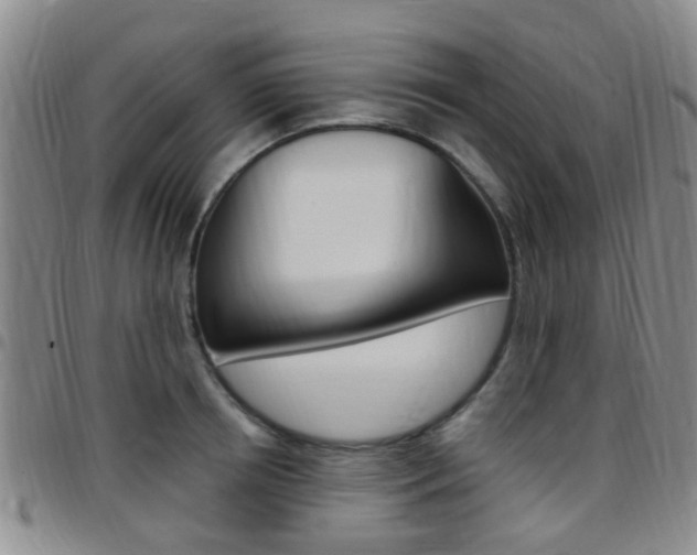 X0000097830850200803140826