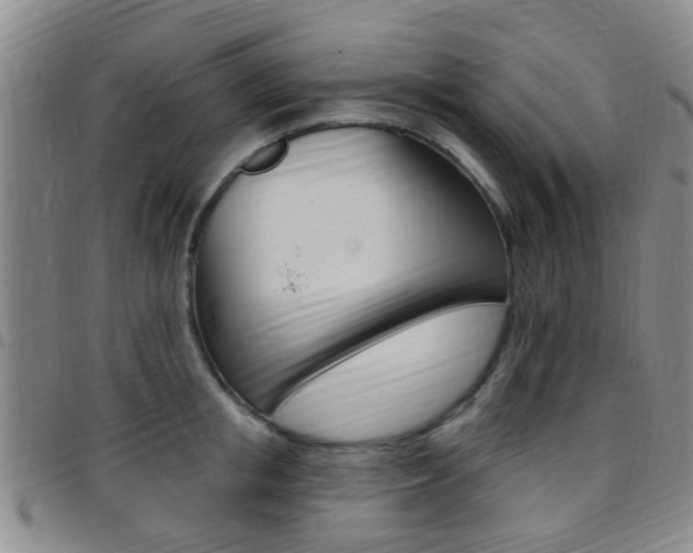 X0000097830853200803140826
