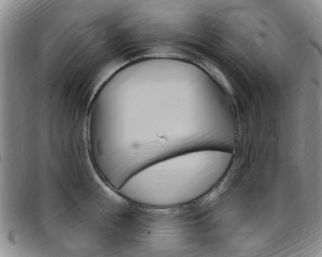 X0000097830855200803140826