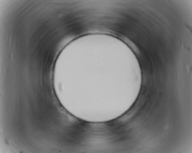 X0000097830856200803140826