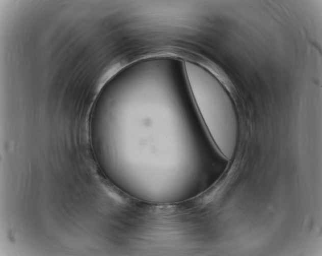X0000097830858200803140826
