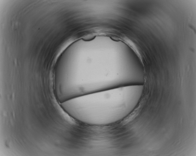 X0000097830859200803140826