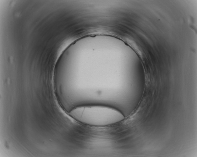 X0000097830863200803140826
