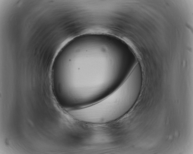 X0000097830864200803140826