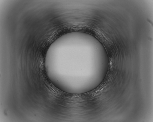 X0000097830867200803140826