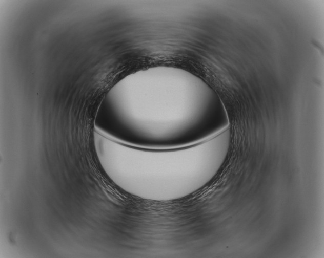 X0000097830868200803140826