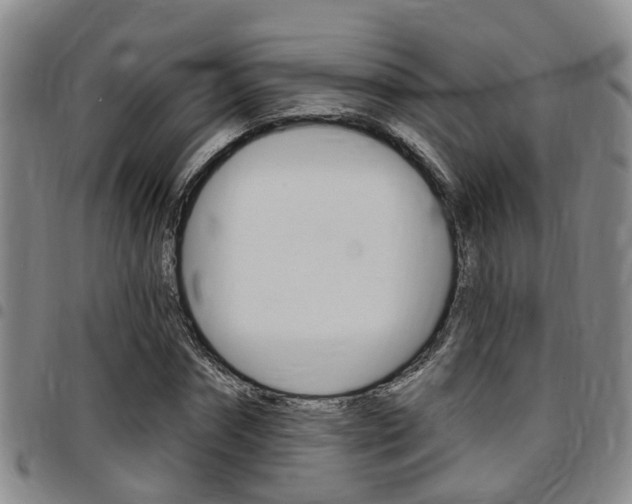 X0000097830874200803140825