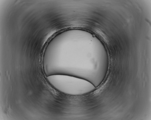 X0000097830875200803140825