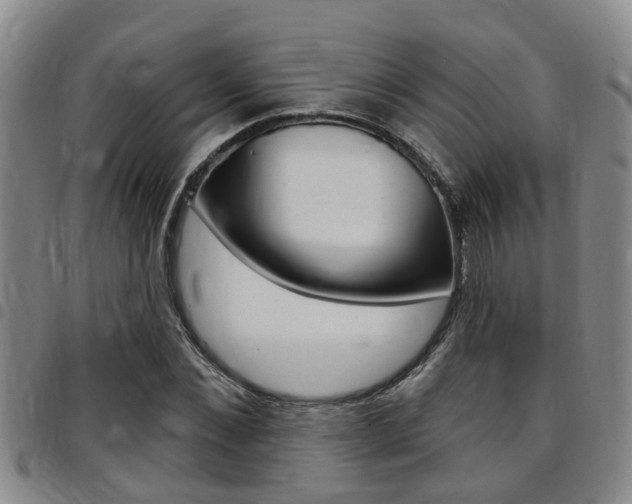 X0000097830876200803140825