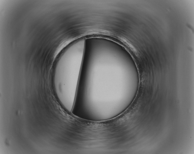 X0000097830877200803140825
