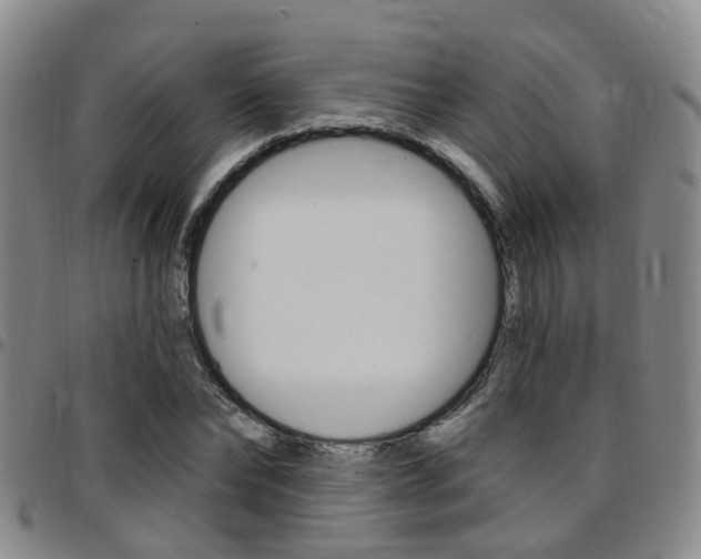 X0000097830878200803140825