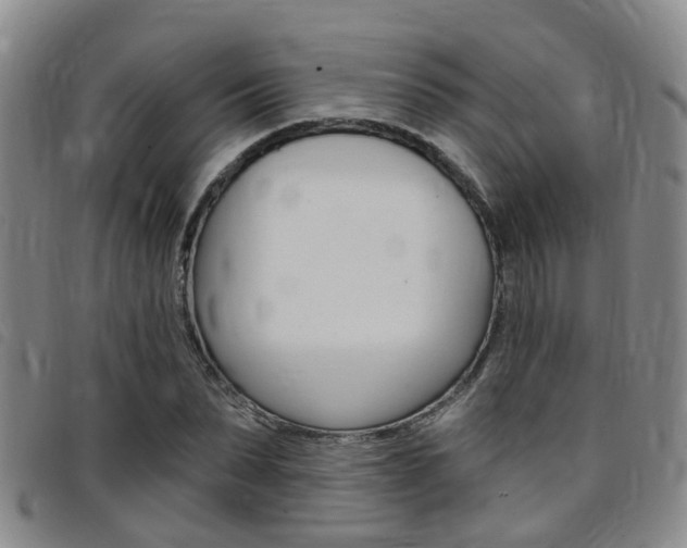 X0000097830879200803140825