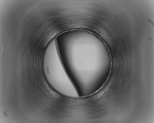 X0000097830881200803140825