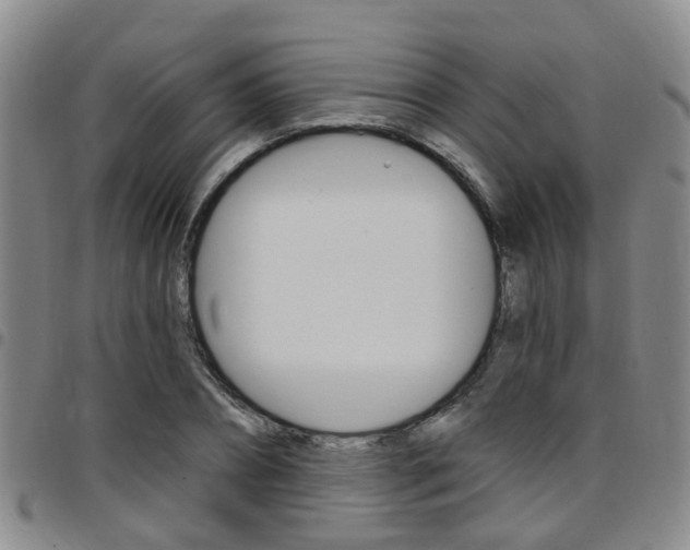 X0000097830882200803140825