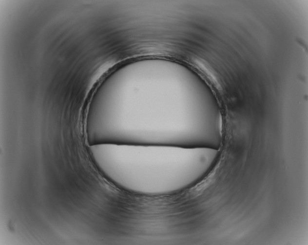 X0000097830883200803140825