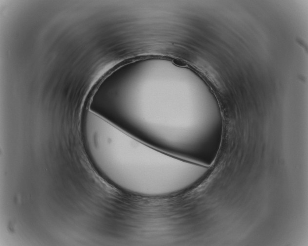 X0000097830884200803140825