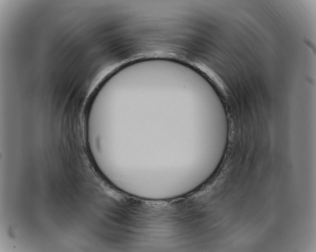 X0000097830886200803140825