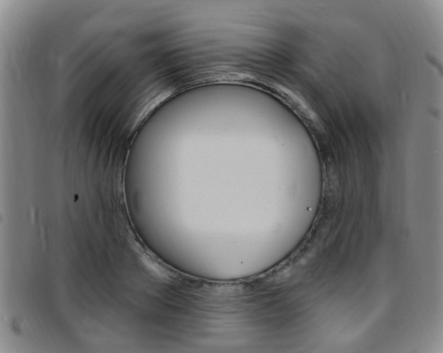 X0000097830889200803140825