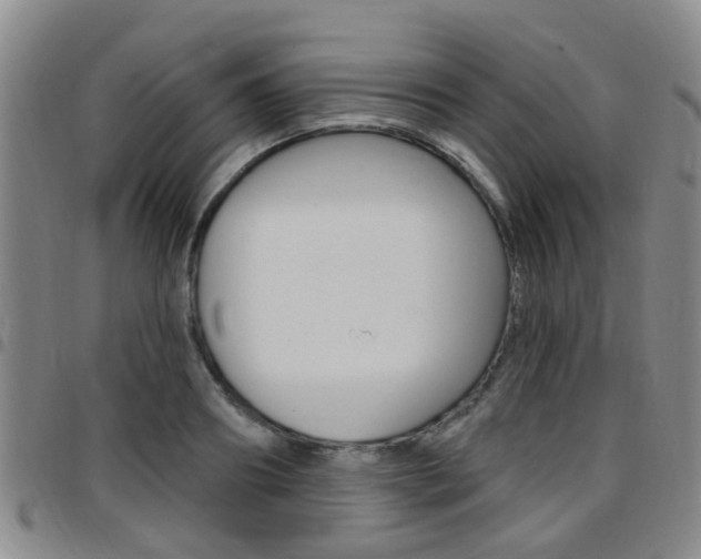 X0000097830890200803140825