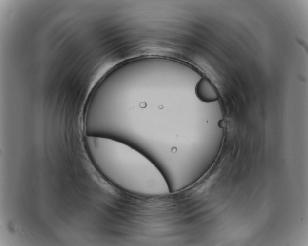 X0000097830891200803140825