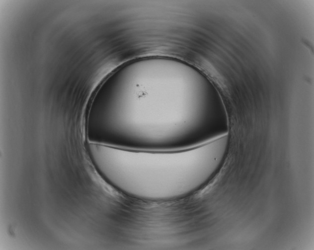 X0000097830892200803140825