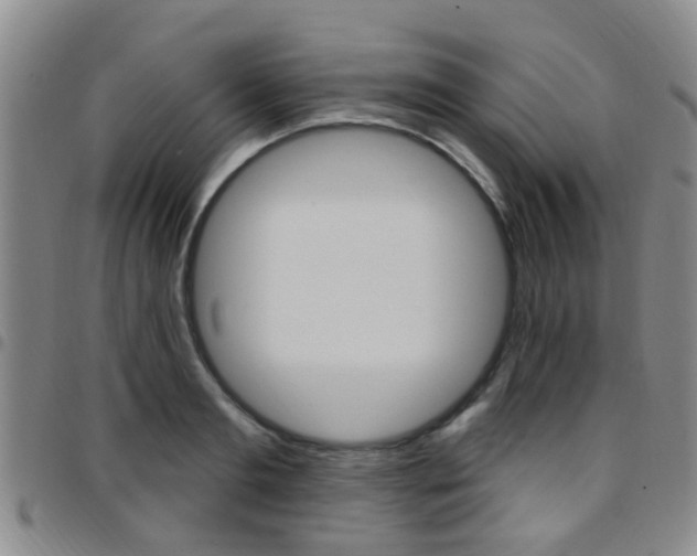 X0000097830893200803140825