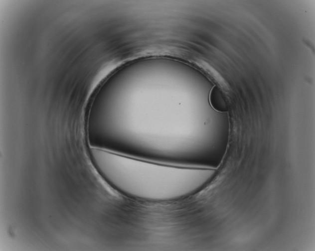 X0000097830894200803140825