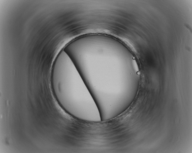 X0000097830895200803140825