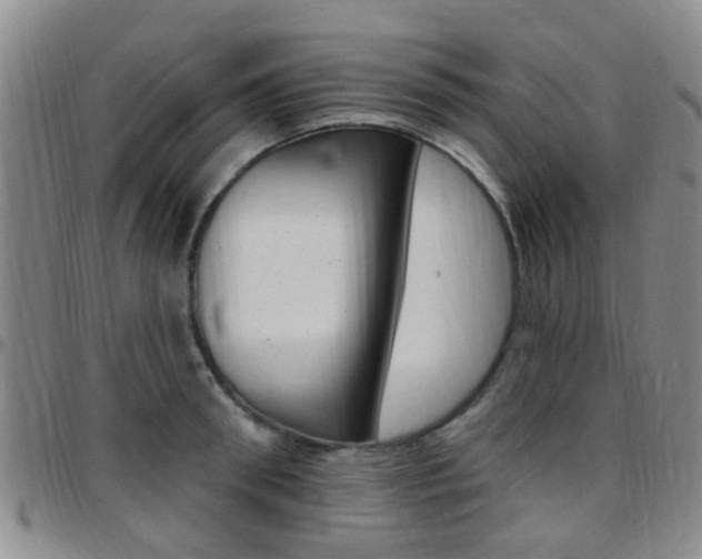 X0000097830898200803140825