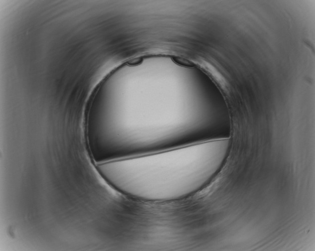 X0000097830902200803140825