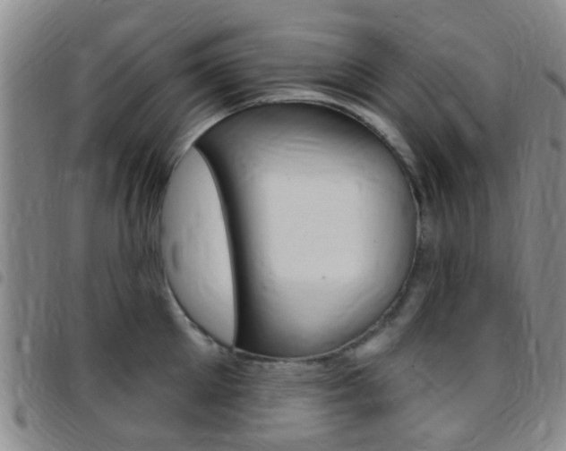 X0000097830905200803140825
