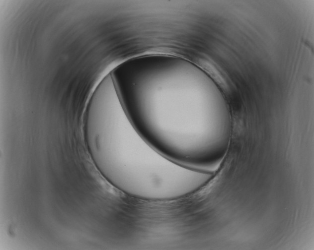 X0000097830908200803140825