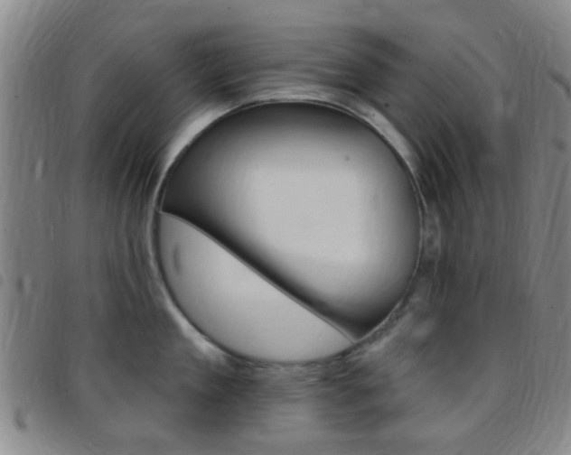 X0000097830909200803140825