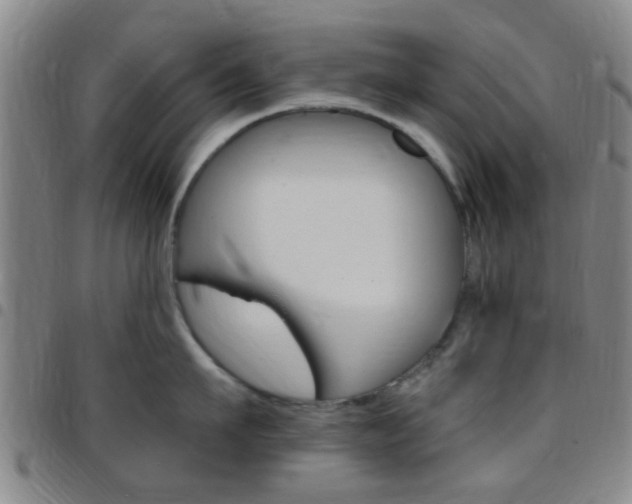 X0000097830911200803140825