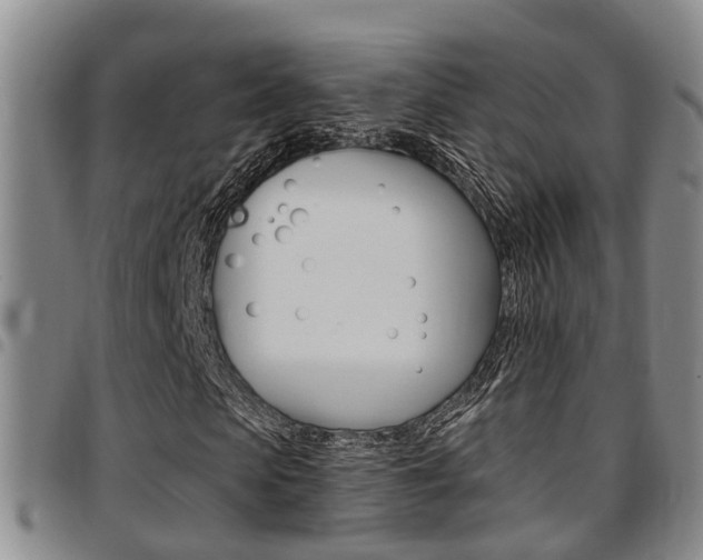 X0000097830913200803140824