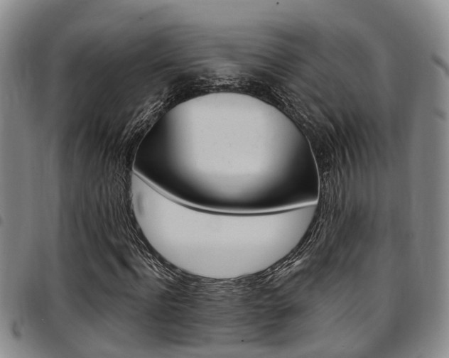 X0000097830916200803140824