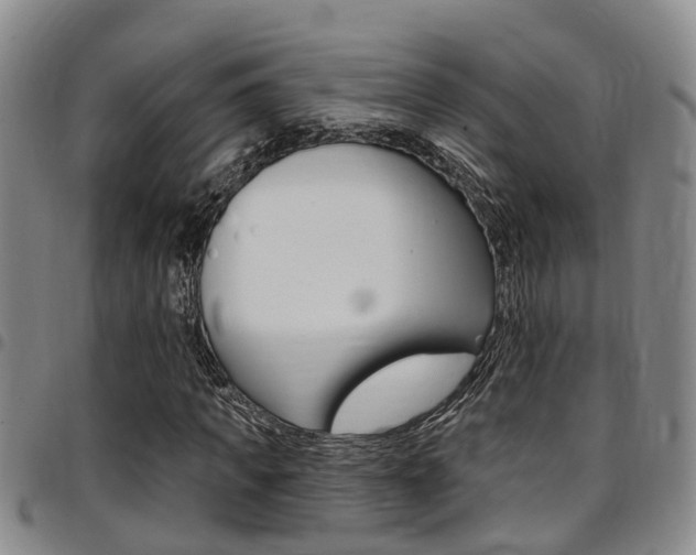 X0000097830917200803140824