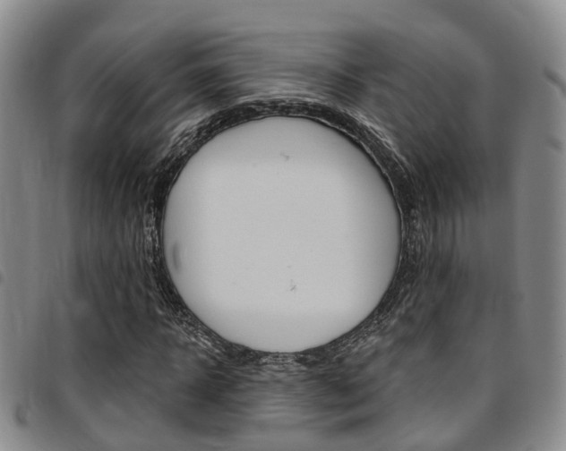X0000097830918200803140824