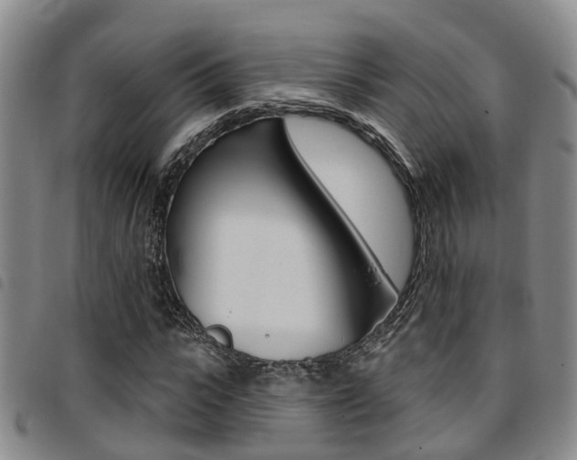 X0000097830919200803140824