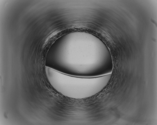 X0000097830920200803140824