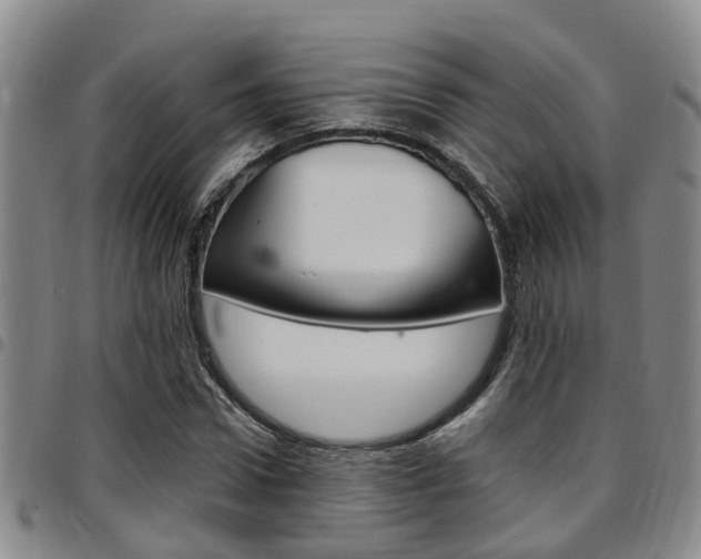X0000097830922200803140824