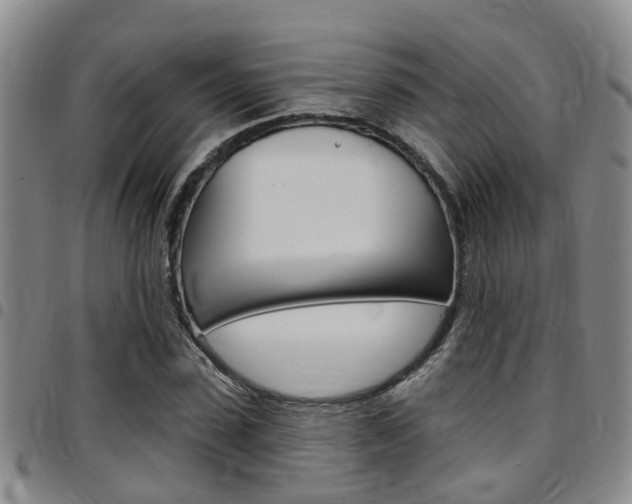 X0000097830923200803140824