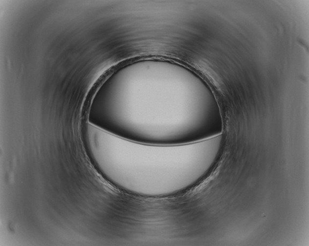 X0000097830924200803140824