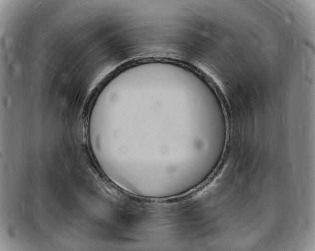 X0000097830925200803140824