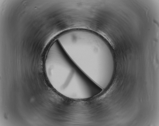 X0000097830926200803140824
