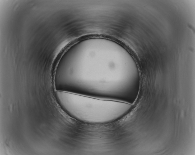 X0000097830927200803140825