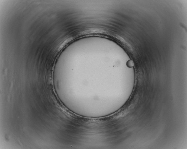 X0000097830929200803140825