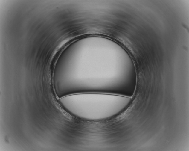 X0000097830931200803140825