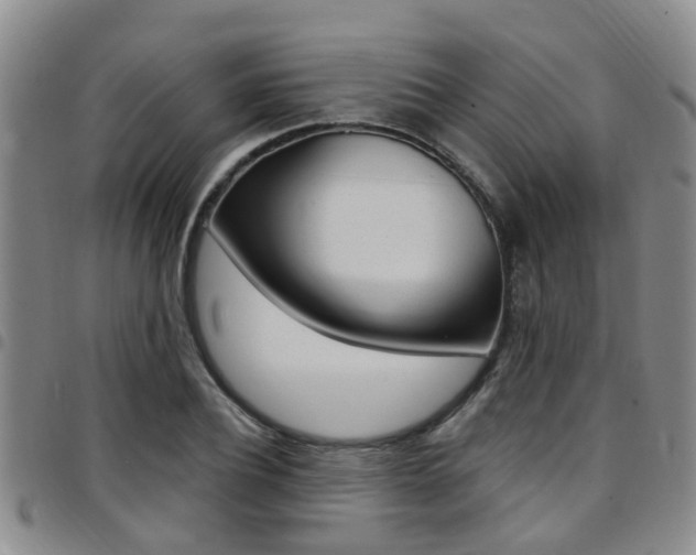 X0000097830932200803140825