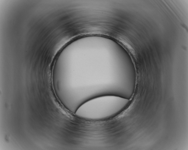 X0000097830933200803140825